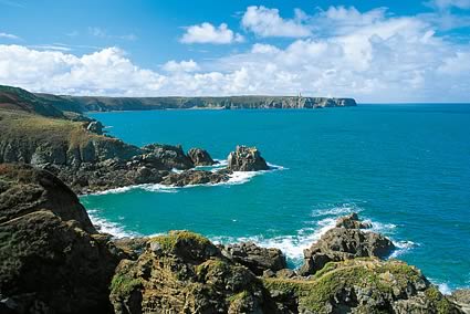 Bretagne - Algues Bretagne - Algues