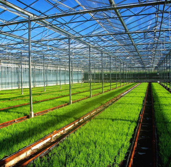 brit Innov - Industries agroalimentaires brit Innov - Industries agroalimentaires
