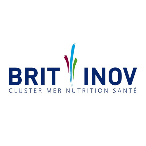 Icone Brit Inov