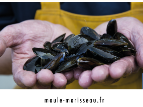 Moules Morisseau