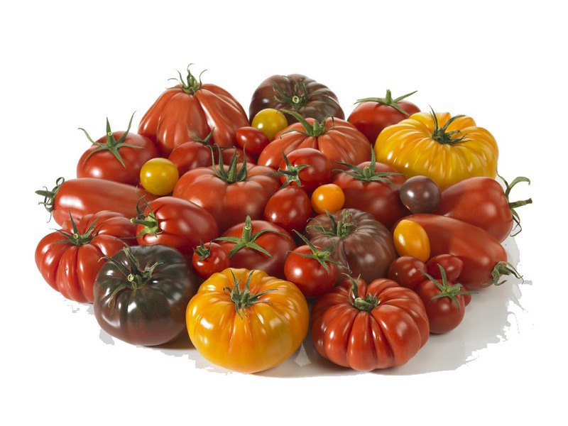 Tomates Tomates
